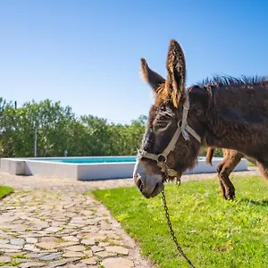 Burro By Host Wise , Portimao Portugal